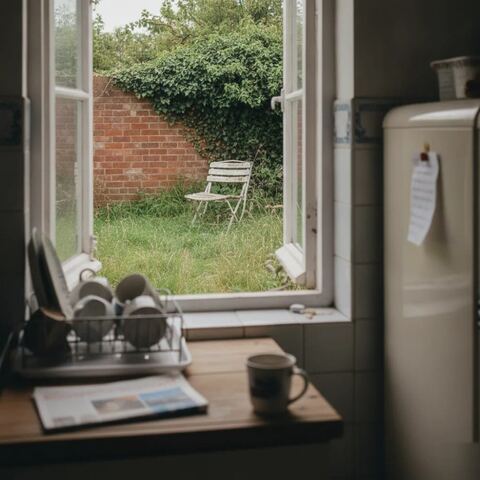 Homeowner view of overgrown garden through kitchen window in Tunbridge Wells